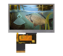 NHD-4.3-480272EF-ASXP Imagine